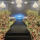 헤라 스크린 | [웨딩준비-3] 전주 웨딩홀 투어_웨스틴헤라&amp;엔타워 | 엔타워 계약 후기(2027년 상반기 엔타워 견적공유o)