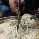 청주 가경동 야장 술집 포차천국 청주가경점 애견동반 내돈내산 후기