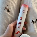 타입스포츠2023 | 아니모 사용 후기｜뿌리는 마그네슘 스프레이로 종아리 붓기 관리