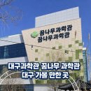 꿈나무 작은도서관 | 대구 아이와 가볼만한곳 대구과학관 꿈나무 과학관 비오는날 실내 체험 후기(아이들월드 과학공연)