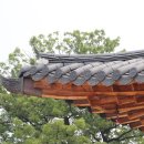 새마을동물병원 이미지