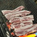 숲속 | 철원 두루웰 숲속문화촌 내돈내산 후기