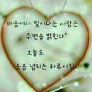 한국힐링상담교육연구소 이미지
