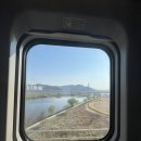 신평동1078 | [경주] 벚꽃에 누구보다 진심인 도시 경주🏯🌸