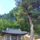 명천건기 - 1681 | 오인교의 전라누정기행-정읍 선비촌 원촌마을 한정(閒亭)