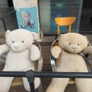 법원,검찰청(37074) 이미지