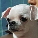헐 이미지