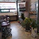 비래플러스치과의원 이미지