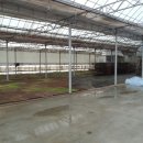 백학농장 이미지