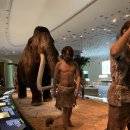 전곡선사박물관 이미지