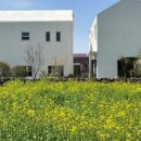 안목스테이 이미지