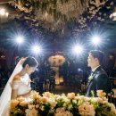 아모이네 | [Wedding-19] 더베뉴지서울 네이처홀 본식스냅 '스냅바이아모이(Snap by Amoi) 후기