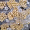 재상농장 이미지