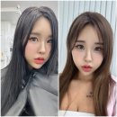부산 손상모블랙빼기 + 복구염색 코도리베이지 장인 &#34;어반씨엘 사직점&#34;