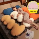 바디랜드 이미지