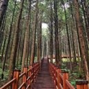 51주유소 | 2박 3일 투루카 경주여행 후기, 렌터카 요금 비교