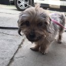 가마산로 이미지