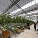 표장농장 이미지