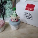 구룡산로51번마길(3-306) | [강아지수제간식/청주] 청주 강아지 수제간식으로 생일 파티! 귀여운 강아지 얼굴 케이크 디어마이펫