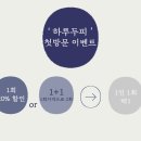 하루두피 동탄1점 이미지