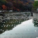 천국은불타고있다 Daum카페
