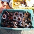 세명산업 - 목포시 복산길12번길 37 | 세명산업