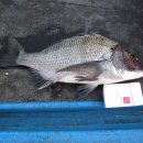 일박이일 B 이미지