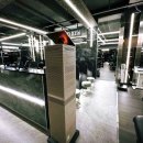 카인드 휘트니스 이미지