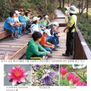 평강교회 옆 이미지