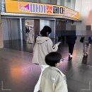 마이캣 | 마이캣페어 송도 후기, 크진 않지만 초보 집사에겐 알찬 박람회