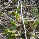 종근농장 이미지