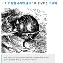 앨리스캣(Alice CAT) 이미지