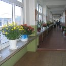 금성여자상업고 이미지