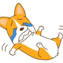 손세차뱅크