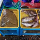 보경수산 이미지