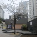 국군복지단선봉영외마트