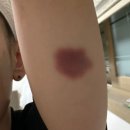 신림체육센터 | [신림체육센터] 수영 상급반 후기_첫째 주