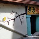 봉평여인숙 티스토리