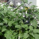 우성농원 이미지