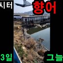 그늘막26 이미지