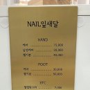 네일잎새달