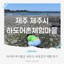 큰무리어촌계 | 하도어촌체험마을 아이와 하기 좋은 제주도 바릇잡이 체험