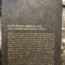 스킨포스레인 이미지