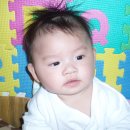 조흥약국 이미지