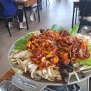 동굴 낙지와 쭈꾸미 이미지