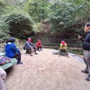 숲 걷기 명상 이미지