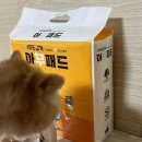 24시무인애견간식&용품아무도없개구로 | 김해애견용품 장유무인매장 <아무도없개김해율하점> 방문후기, 위치, 주차장
