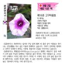 들꽃편지 이미지