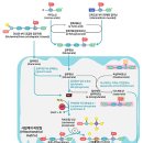 W서울화이트치과의원 이미지