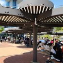 백연골발효차 이미지